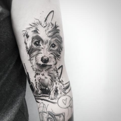 <p>Image, the dog that behaves like a blender for Hannah.&nbsp;</p>