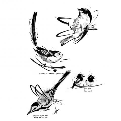 <p>Deze mooie vogels kunnen overal geplaatst worden, en hebben maar 1 sessie nodig !<br />
eva@mpatshi.be bij interesse ;)<br />
These cute birds will fit great anywhere and will be done in one session !<br />
email me if interested !<br />
<br />
The Pica Pica's are taken.</p>
