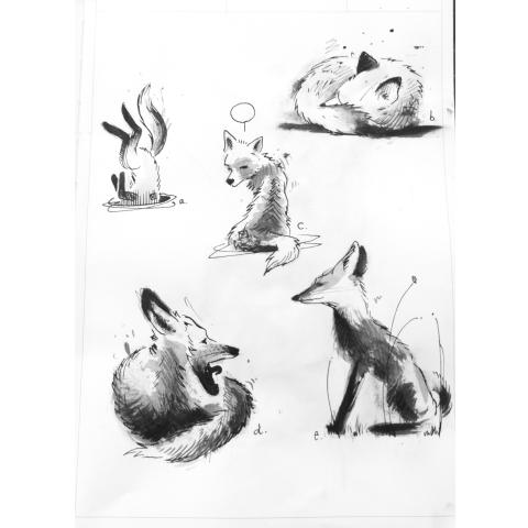 <p>Fox C is taken.</p>