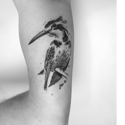 <p>Thank you Rob, for adopting this magnificent little kingfisher !<br><br>More flash can be found in my available designs on the website !</p>