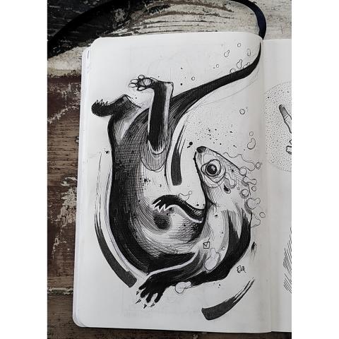 <p>same but otter<br>&nbsp;</p>