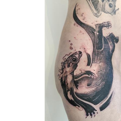<p>A massive thanks to L, for adopting this fun otter-flash.&nbsp;<br>See you soon !</p>